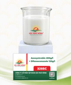 THUỐC TRỪ BỆNH - AZOXYSTROBIN 200g/L + DIFENOCONAZOLE 125g/L (325SC)