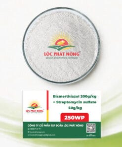 THUỐC TRỪ BỆNH - BISMERTHIAZOL 200g/kg + STREPTOMYCIN SULFATE 50g/kg (250WP)