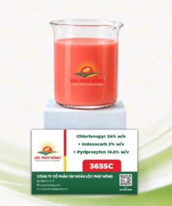 THUỐC TRỪ SÂU - CHLORFENAPYR 24% w/v + INDOXACARB 2% w/v + PYRIPROXYFEN 10.5% w/v (365SC)