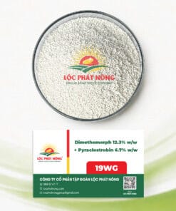 THUỐC TRỪ BỆNH - Dimethomorph 12.3% + Pyraclostrobin 6.7% (19WG)