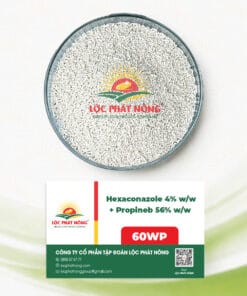 THUỐC TRỪ BỆNH - HEXACONAZOLE 4% + PROPINEB 56% (60WG)