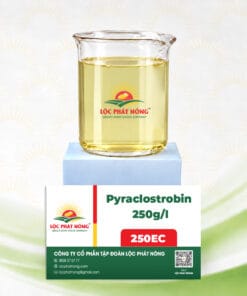 THUỐC TRỪ BỆNH - PYRACLOSTROBIN 250g/L (250SC)