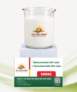 THUỐC TRỪ BỆNH - TEBUCONAZOLE 200G/L + PYRACLOSTROBIN 100G/L (300SC)